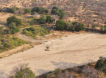 Charlie Ruaha Safari Camp: Camp Überblick