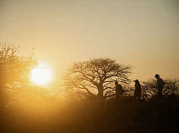 Charlie Ruaha Safari Camp: Wanderung in den Sonnenuntergang