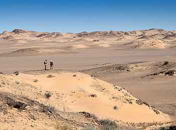 Hoanib Elephant Camp: Naturwanderung