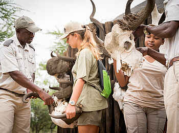 Kambaku Safari Lodge: Schädel Kambaku Safari Lodge: Schädel