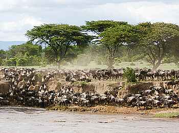 Legendary Songa Migrational Camp: Am Fluss