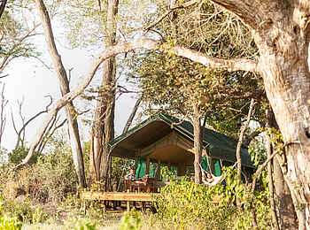 Macatoo Camp: Blick aufs Gästezelt