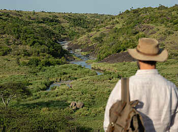 Mahali Mzuri: Elefanten von der Aussichtsplattform entdecken
