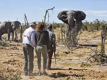 Skybeds: Zu Fuß unterwegs Skybeds: Zu Fuß unterwegs