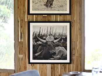 The Highlands Camp: Fotos von Graham Springer