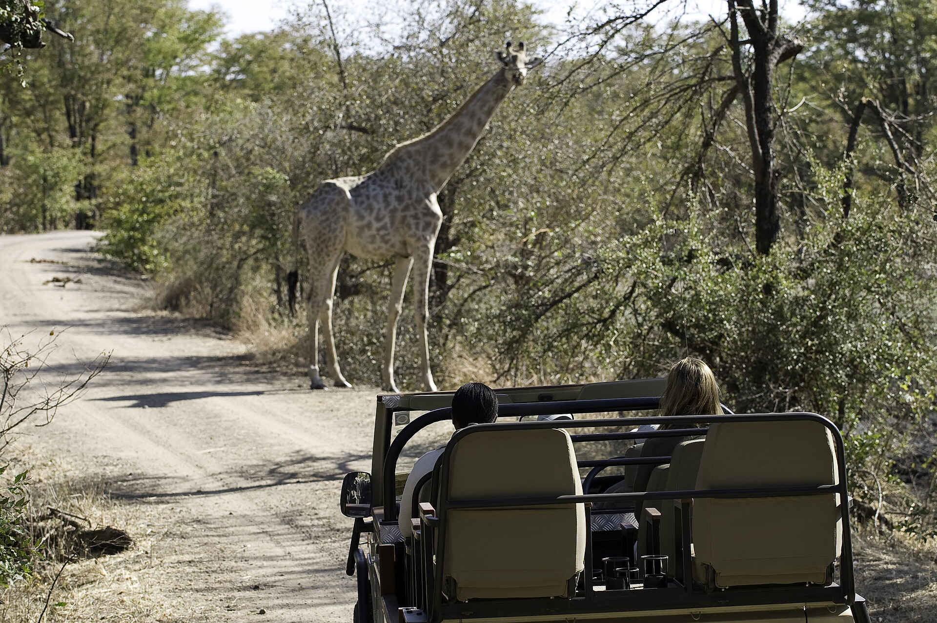 Toka Leya Camp: Pirschfahrten Toka Leya Camp: Pirschfahrten