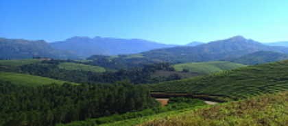 Eastern Highlands