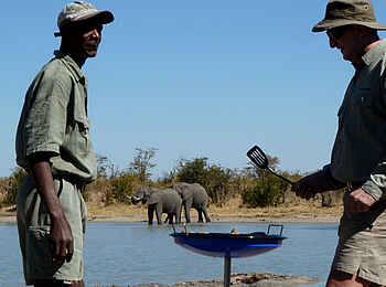 Camp Hwange: Frühstück am Wasserloch