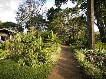 Gibbs Farm: Schön angelegter Garten