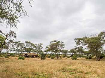 Kuro Tarangire: Blick aufs Gelände Kuro Tarangire: Blick aufs Gelände