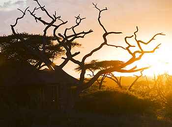 Lake Masek Tented Camp: Abenddämmerung