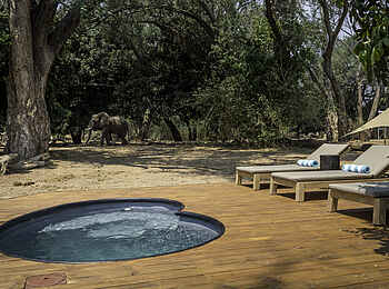 Little Ruckomechi Camp: Plunge Pool