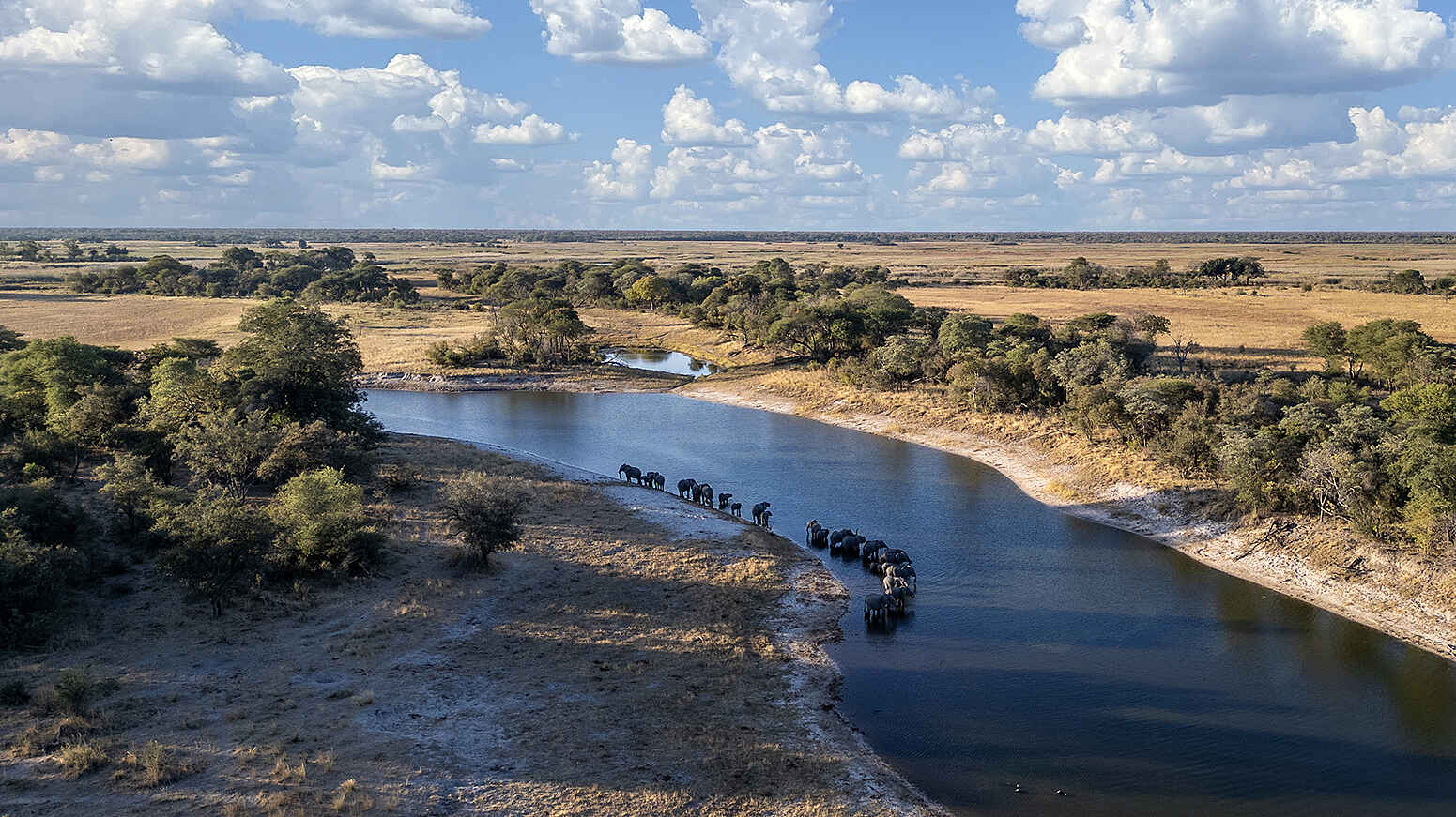 Luiana Plains Expedition Camp: Elefanten am Fluß