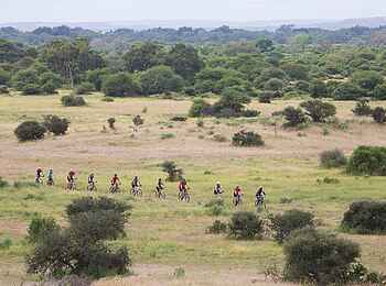 Mashatu Game Reserve: Fahrt durch lichten Busch