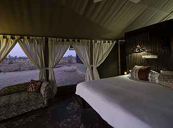 Davison's Camp: Zeltinterieur Davison's Camp: Zeltinterieur