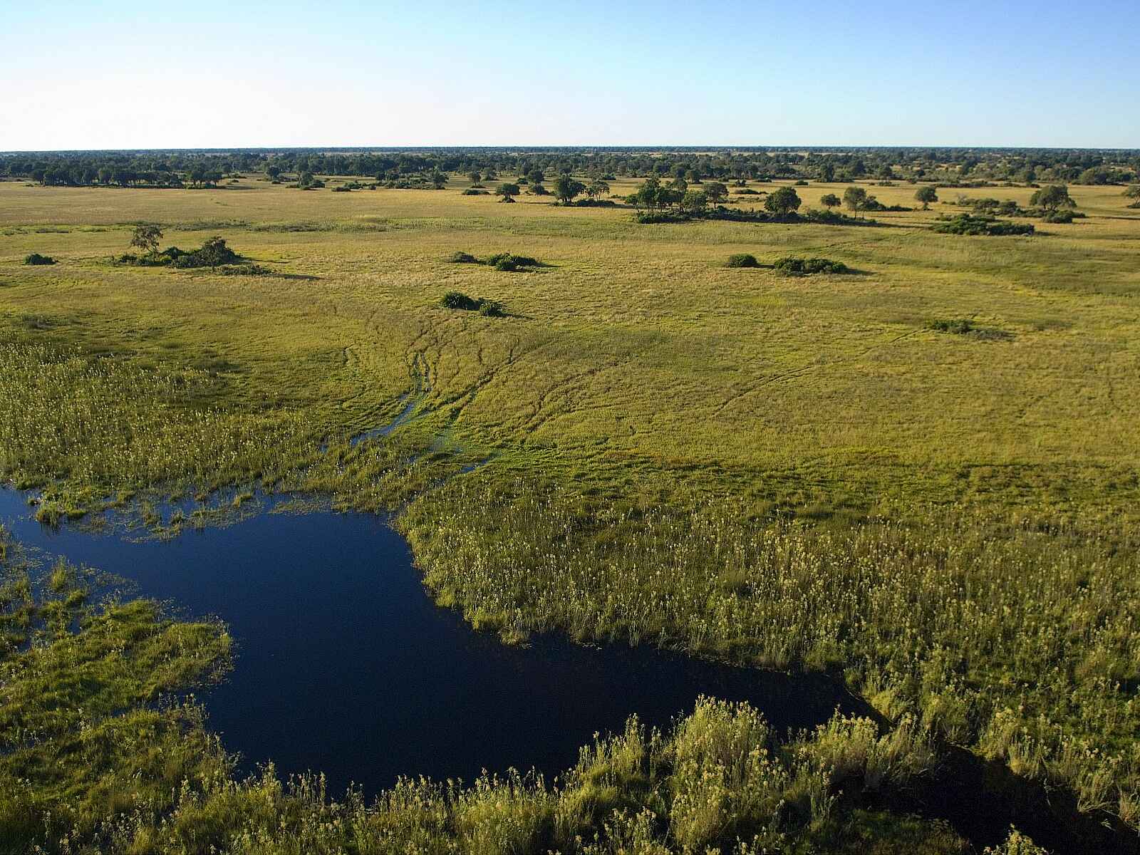 Duba Plains Camp: Lagune Duba Plains Camp: Lagune