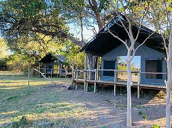 Khwai Expeditions Camp: Blick auf die Gästezelte Khwai Expeditions Camp: Blick auf die Gästezelte