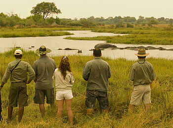 Khwai Leadwood: ABC Guides