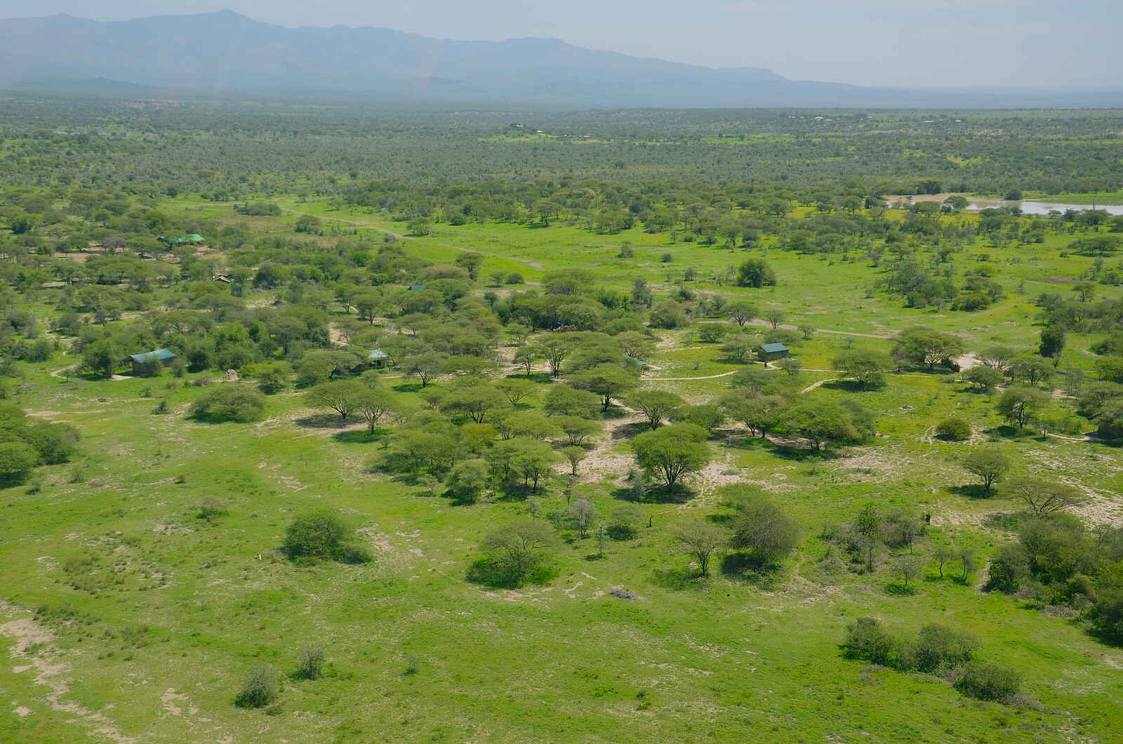 Manyara Ranch: Grüne Landschaft Manyara Ranch: Grüne Landschaft