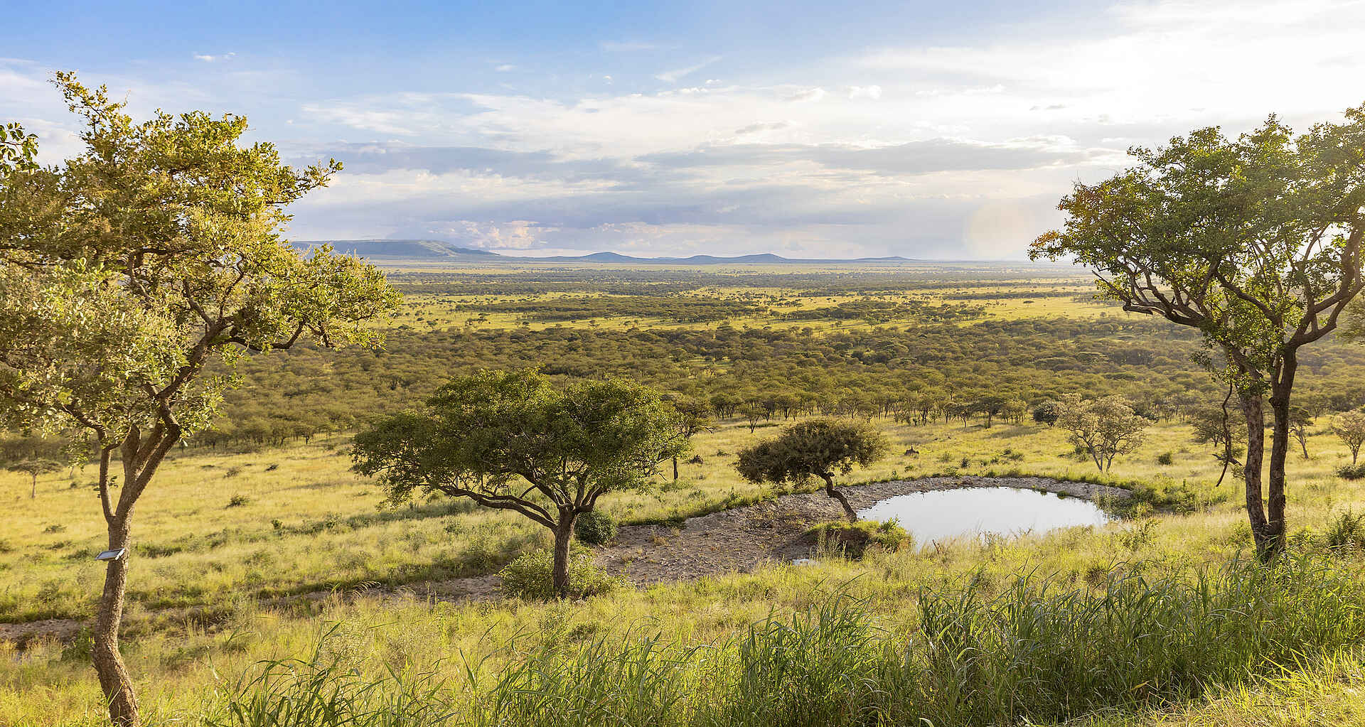 Melia Serengeti Lodge: Die Serengeti