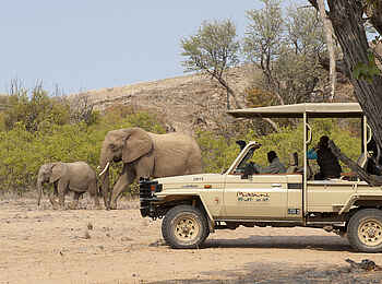 Mowani Mountain Camp: Game Drive