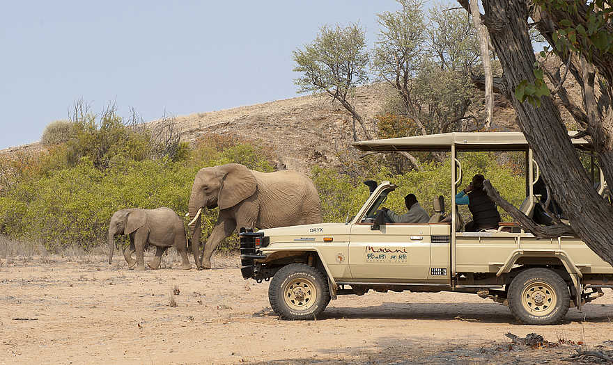 Mowani Mountain Camp: Game Drive Mowani Mountain Camp: Game Drive