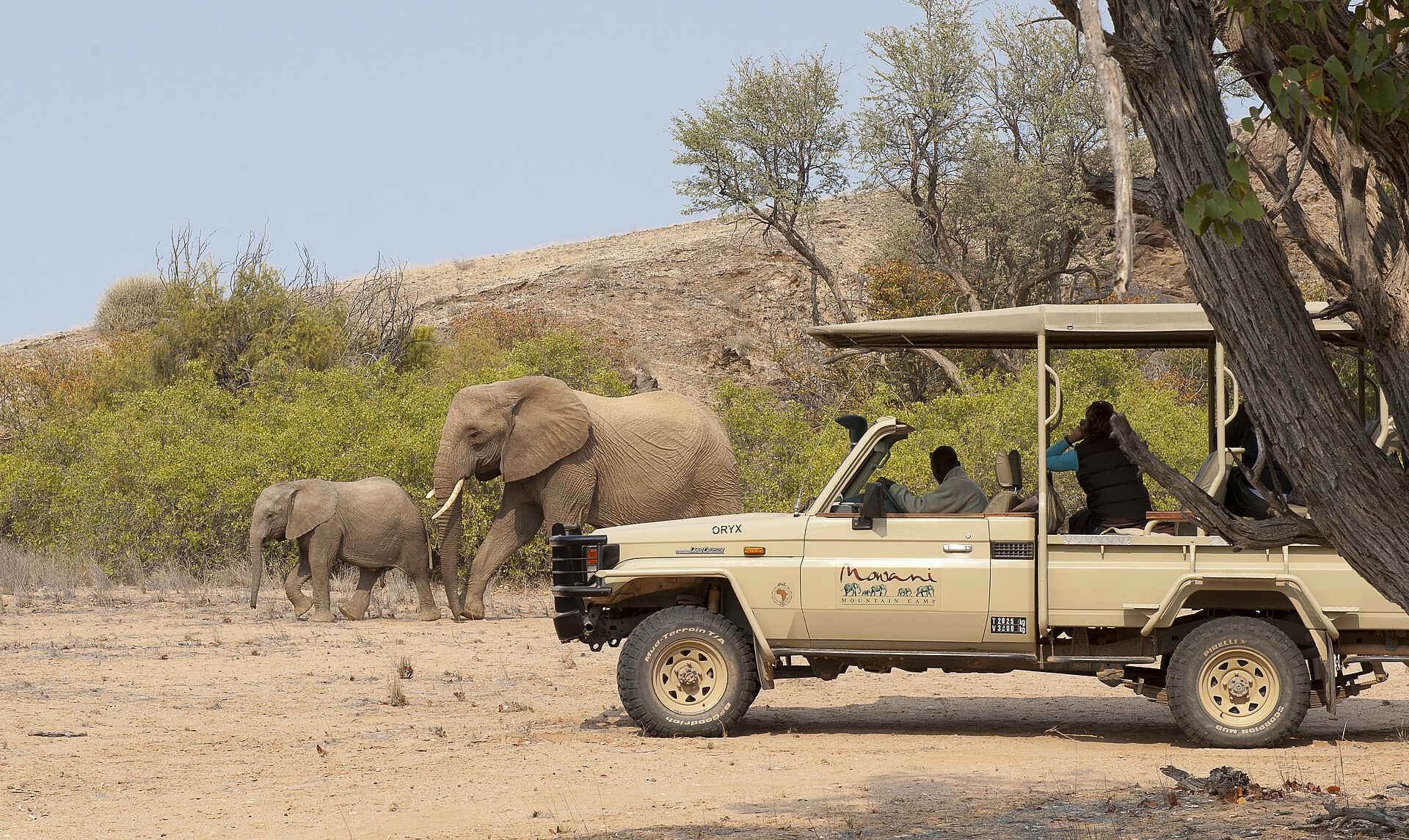 Mowani Mountain Camp: Game Drive