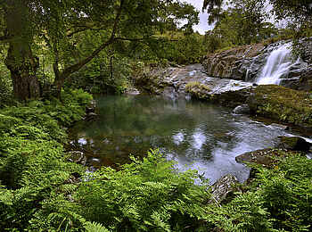 Mt Gorongosa Community Camp: Die Natur beim Mount Gorongosa Mt Gorongosa Community Camp: Die Natur beim Mount Gorongosa