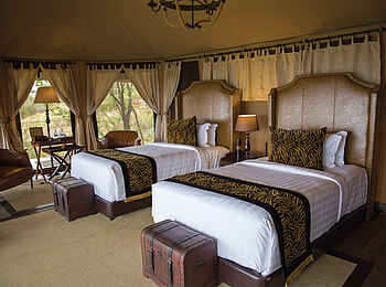 Ole Serai Luxury Camp - Seronera: Zweibettzelt Ole Serai Luxury Camp - Seronera: Zweibettzelt