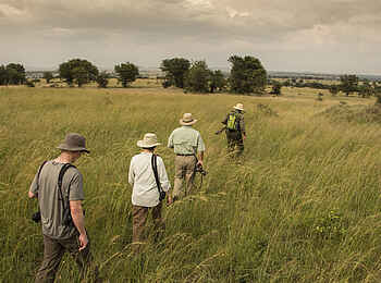 Sayari Camp: Walking Safari durch das Gras der Savanne Sayari Camp: Walking Safari durch das Gras der Savanne