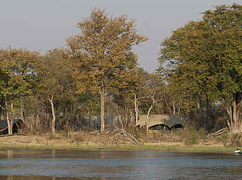 Selinda Explorers Camp: Gästezelte im Galeriewald Selinda Explorers Camp: Gästezelte im Galeriewald