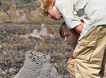 Shumba Camp: Termitenhügel Shumba Camp: Termitenhügel