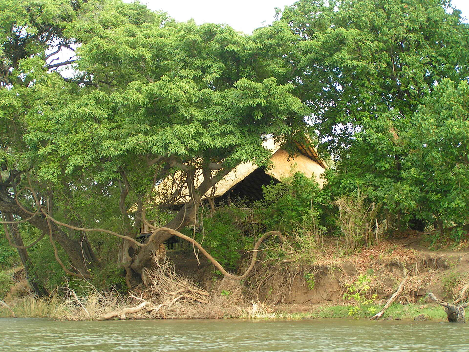 Vundu Camp: Hauptgebäude vom Fluss gesehen Canoe Safari, Chitake Camp, Game Drive, Kanu Safari, Little Vundu, Mana Pools National Park, Sambesi, Vundu Camp, Walking Safari, Zambezi, Hauptgebäude, Hauptzelt, Veranda, afrikarma, afrikarma Safaris, afrikarma Safaris - Wildnis. Hautnah., afrikarma.de