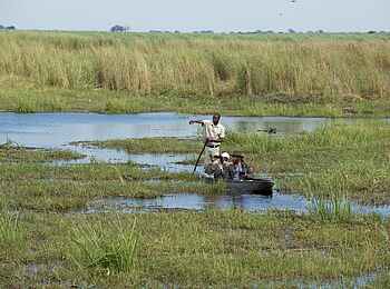 Linyanti Expeditions: Mokorotour durch die Sümpfe Linyanti Expeditions: Mokorotour durch die Sümpfe