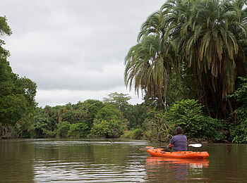 Mboko Camp: Kajak-Safari auf dem Lekoli