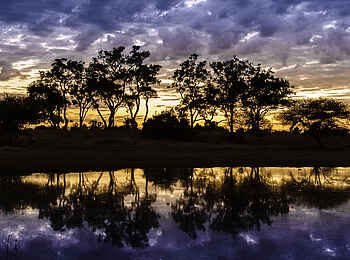 Mombo Camp: Sonnenuntergang Mombo Camp: Sonnenuntergang