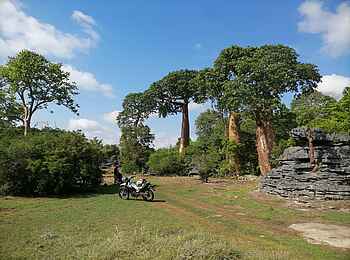 Namoroka Tsingy Camp: Motorbike mit Baobabs