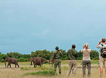 Time + Tide Chinzombo: Buschwanderung