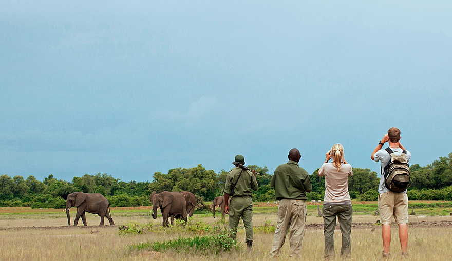 Time + Tide Chinzombo: Buschwanderung Time + Tide Chinzombo: Buschwanderung