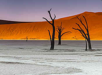 Dead Valley Lodge: Die roten Dünen rund um die Deadvlei