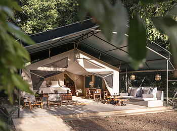Governors' Il Moran Camp: Luxury Tent Terrasse