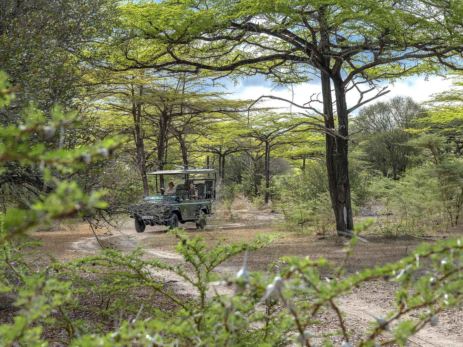 Laba Siwandu Camp: Pirschfahrt Laba Siwandu Camp: Pirschfahrt