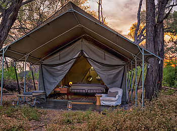 Machaba Camp: Luxury Tent Terrasse