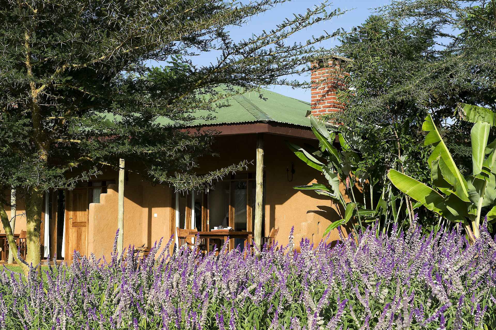 karatu, ngorongoro conservation area, ngorongoro farmhouse, oldeani vulkan, tanganyika wilderness camps, tansania, garten, terrasse, afrikarma, afrikarma safaris, afrikarma safaris - wildnis. hautnah., afrikarma.de