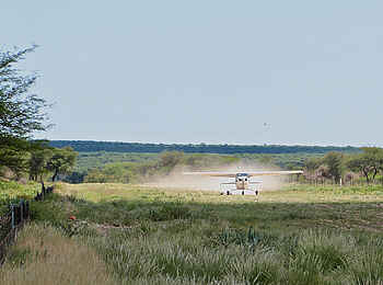 Otjimbondona Kalahari Lodge: Landung auf dem Airstrip mit einem Kleinflugzeug