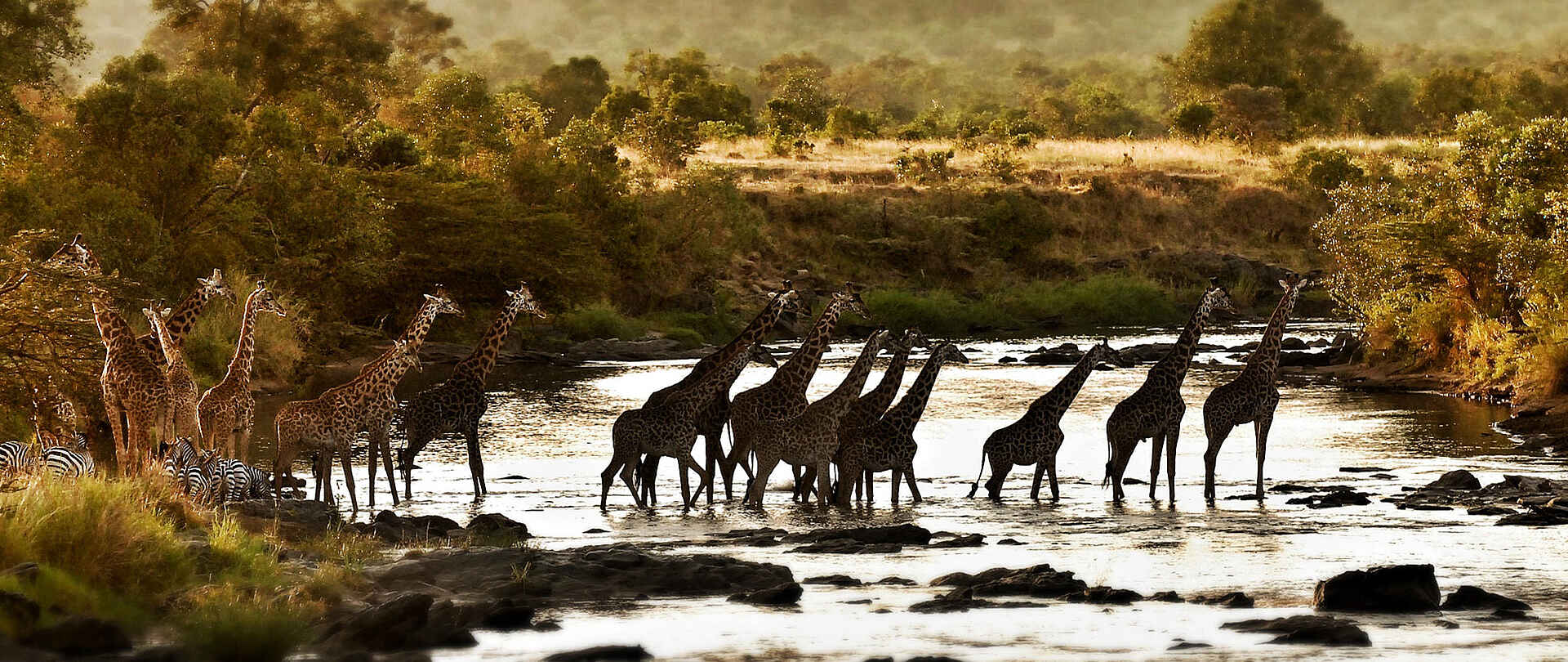 Serian The Original Camp: Giraffen Serian The Original Camp: Giraffen