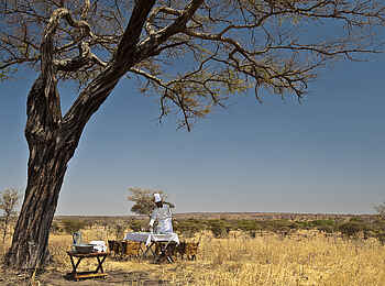 Tarangire Treetops: Bush Lunch