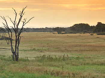The Hide: Sonnenaufgang am Vlei The Hide: Sonnenaufgang am Vlei