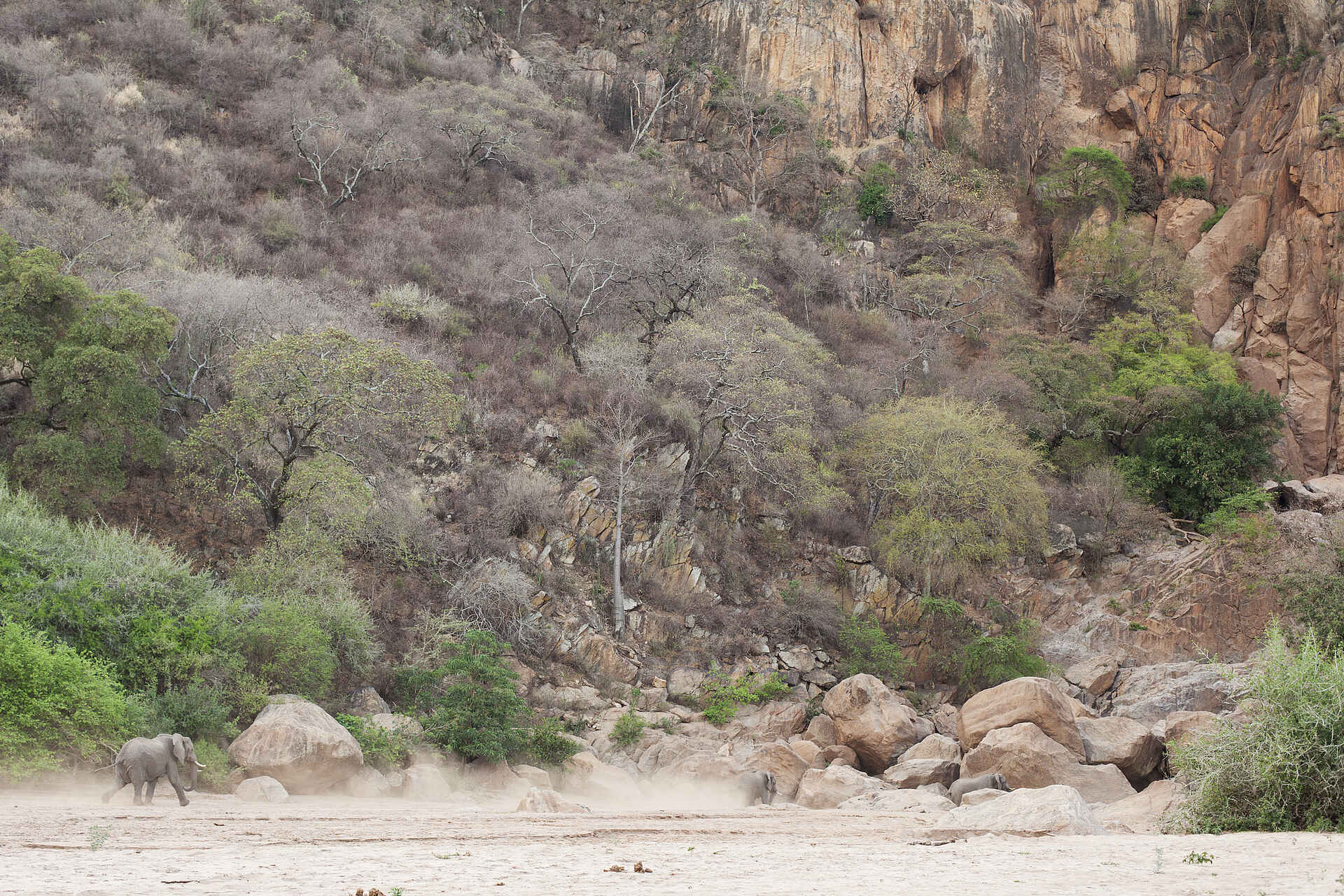 Jean Plessis, Lake Manyara, Wayo Africa, Wayo Manyara Green Camp, Endabash River, Elefant, Escarpment, Felsen, Afrikarma, Afrikarma Safaris, Afrikarma Safaris - Wildnis. Hautnah., Afrikarma.de