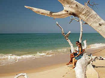 Azura Marlin Beach: Baumstämme am Strand